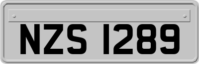 NZS1289
