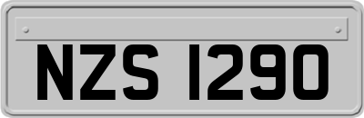 NZS1290