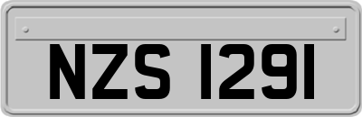 NZS1291
