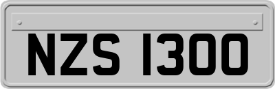 NZS1300