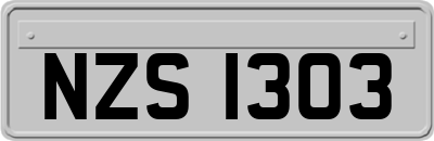 NZS1303