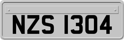 NZS1304