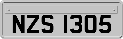 NZS1305
