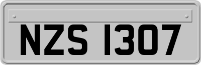 NZS1307
