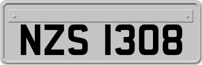 NZS1308