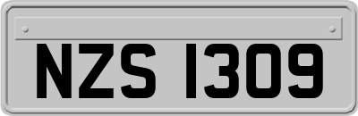 NZS1309
