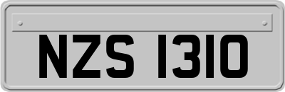 NZS1310