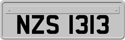 NZS1313
