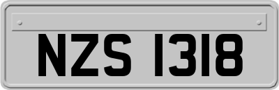 NZS1318