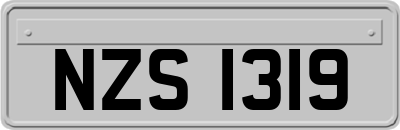 NZS1319