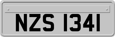 NZS1341