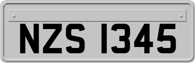 NZS1345