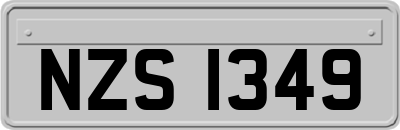 NZS1349
