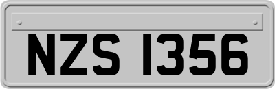 NZS1356