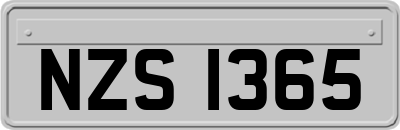 NZS1365