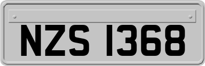 NZS1368