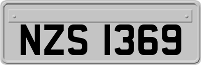 NZS1369
