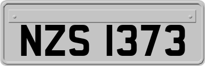 NZS1373