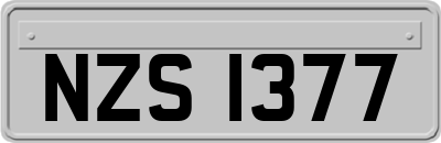 NZS1377