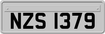 NZS1379