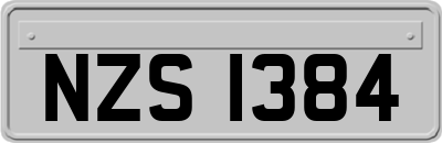 NZS1384