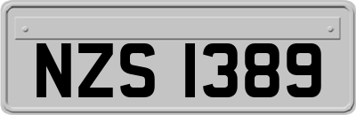 NZS1389