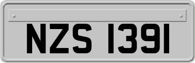 NZS1391