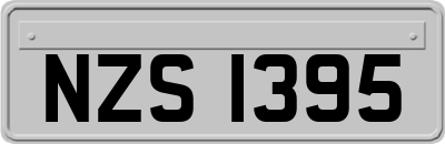 NZS1395