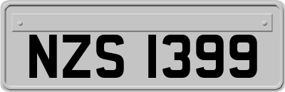 NZS1399