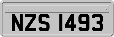 NZS1493