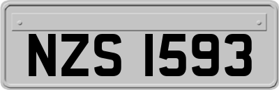 NZS1593