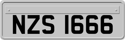 NZS1666
