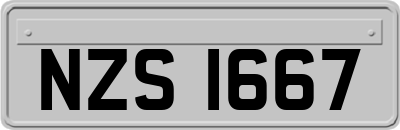 NZS1667