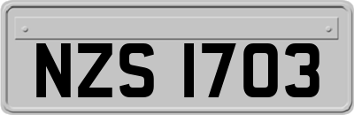 NZS1703