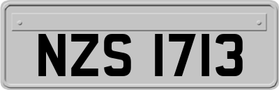 NZS1713