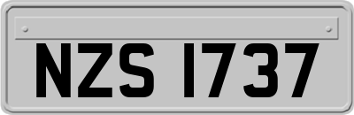 NZS1737