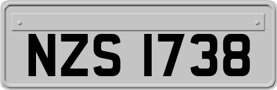 NZS1738