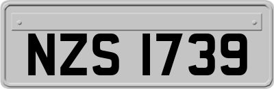 NZS1739