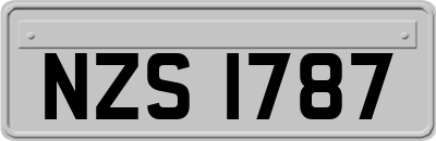 NZS1787