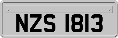 NZS1813