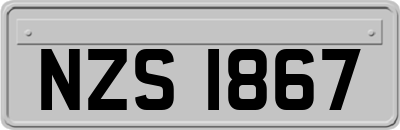 NZS1867