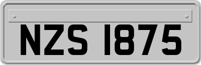 NZS1875