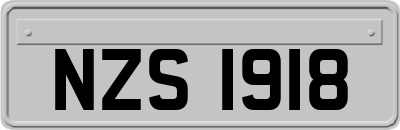 NZS1918