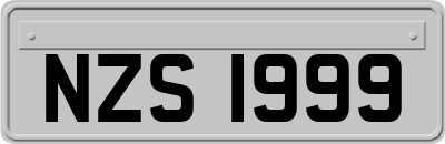 NZS1999