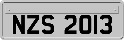 NZS2013