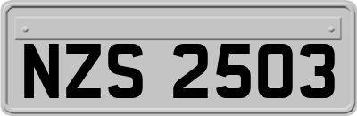 NZS2503