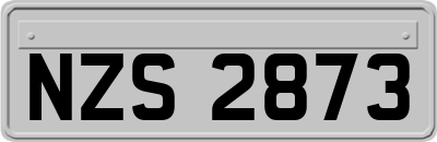 NZS2873