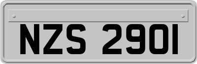 NZS2901
