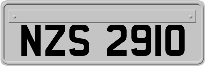 NZS2910
