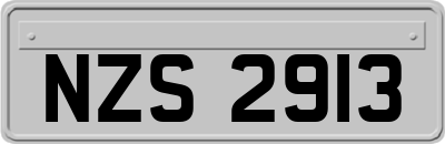 NZS2913